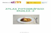 ATLAS FOTOGRÁFICO ENALIA-2 - Agencia Española …...Estas fotos se utilizan para calcular las cantidades de todos los tipos de menestras, y otras verduras que cocinadas presentan