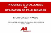 PROGRESS & CHALLENGES IN UTILIZATION OF PALM BIOMASSand soil/water conservation practices Palm trunks/canopy - after 25 years during ... via steam turbine & for FFB sterilization Palm