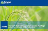 Provisia™ Rice: Teknologi terbaru kawalan Padi AnginPadi angin—Tiada racun rumpai selektif Penurunan hasil padi akibat peningkatan populasi padi angin Effect on different establishment