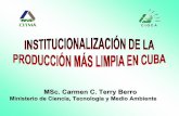 Cuba Carmen Terry - OASoas.org/dsd/documents/cuba_carmen_terry.pdf · ÔDocumento rector de la política ambiental cubana. ÔEstablece los principios en los que se sustenta el quehacer