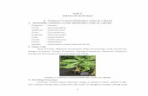 BAB II TINJAUAN PUSTAKA A. Tanaman Ceremai (Phyllanthus ...repository.setiabudi.ac.id/3827/4/BAB 2.pdf · Ketujuh, spasme infantil. 5.3 Kejang yang tidak terklasifikasi. Serangan