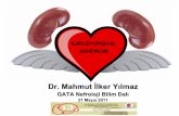 Dr. Mahmut İlker Yılmaz - TurkHipertansiyonturkhipertansiyon.org/kongre2011/salon_1/2011-05...Volüm/üremi AKY yada ADKY başlatabilir – Renal iskemi-AKY yada ADKY – Sepsis/cytokine-ABH