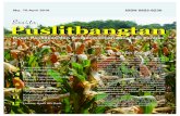 Berita Puslitbangtan - Kementerian Pertanianpangan.litbang.pertanian.go.id/files/BP702019.pdf · dan diperkuat untuk memaksimal-kan pemanfaatan sumber daya dalam menghasilkan dan