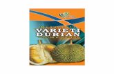 Menegenali varieti durian popular di malaysia€¦ · Title: C:\Users\Wakakaka7\Desktop\Menegenali varieti durian popular di malaysia.pdf Author: Wakakaka7 Created Date: 1/13/2011