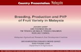 Country Presentation: Malaysiaeapvp.org/files/report/docs/C-04. Malaysia.pdfCountry Presentation: Malaysia THE 1st MEETING OF TEST GUIDELINES HARMONISATION ON RAMBUTAN AND STARFRUIT.