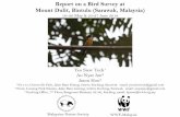 Report on a Bird Survey at Mount Dulit, Bintulu (Sarawak ... · Mount Dulit, Bintulu (Sarawak, Malaysia) 16–20 May & 25-27 June 2018 Malaysian Nature Society WWF-Malaysia. INTRODUCTION