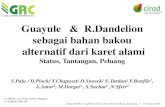 Guayule & R.Dandelion sebagai bahan bakou alternatif dari ...agritrop.cirad.fr › 570866 › 1 › document_570866.pdf · 1906-1912: 55.000 T. of GR, < 1000 T. hevea plantations