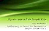 Hipoalbuminemia Pada Penyakit Kritis CEVA Hipoalbumin PIN 2019.pdfPembedahan jantung Terapi pilihan akhir setelah kristaloid dan koloid nonprotein 2C+ Pembedahan mayor Albumin tidak