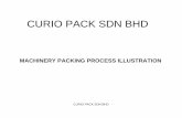 CURIO PACK SDN BHD - movemalaysia.com Packing... · CURIO PACK SDN BHD 4) Polystyrene foam is place over polycarbonate panels, control boards and other sensitive areas. Additional