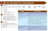 SPA, WELLNESS, PUK & REFLEKSOLOGI · 2020-07-02 · •Perlu mendaftar premis SPA, Wellness, PUK dan Refleksologi dengan pihak PBT sebelum memulakan semula operasi fasa PKPP. Saringan