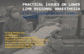 PRACTICAL ISSUES ON LOWER LIMB REGIONAL ANAESTHESIArra.my/wp-content/uploads/2016/02/Practical-issue-on-LL-RA.pdf · 7)Anesthesia UK, Lower limb nerve block, 24/4/2006 8)Continuing