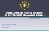 PENGURUSAN RISIKO RASUAH DI UNIVERSITI MALAYSIA SABAH · sistem dan tatacara kerja yang digunapakai di badan awam bagi mengenalpasti ruang dan peluang rasuah, penyelewengan dan salahguna