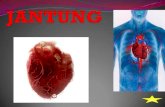 JANTUNG - hawanur96.files.wordpress.com · - Mengangkut darah beroksigen dari jantung ke seluruh sel-sel badan - Sel-sel badan akan menggunakan oksigen untuk proses metabolisme sel