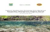 Laporan Struktur dan Komposisi Jenis Mangrove ekspedisi ma… · dapat menyelesaikan Laporan Ekspedisi Mangrove Papua Barat 2019 yang merupakan hasil kerjasama penelitian Badan Penelitian