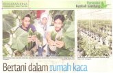 I(ELUARAN I(HAS · 2016. 8. 4. · Gambar MAHATHIR All Papan, Setiu, Terengganu ... menyatakan tanaman cili dan mentimun Jepun yang dijalankan di tapak tanaman yang dipanggil rumah
