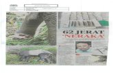 Portal Rasmi Kementerian Tenaga dan Sumber Asli - Utama ... Akhbar/62 JERAT '… · paku dipasang di kawasan itu," katanya. KAKI gajah yang cedera terkena jerat kabel sebelum diselamatkan