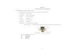BAB II TINJAUAN PUSTAKA A. Tinjauan Tentang Lalatrepositori.unsil.ac.id/775/3/BAB II.pdf · 9 BAB II TINJAUAN PUSTAKA A. Tinjauan Tentang Lalat 1. Klasifikasi Lalat Rumah (Musca domestica)