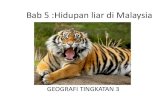 Hidupan liar di malaysiamttdaruliman.edu.my/homeschool/notageo_f3_14042020.pdf · •Akta kualiti alam sekeliling 1974 •Akta perhutanan negara 1984 2 Kempen kesedaran •Menyelamatkan