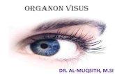 ORGANON VISUSrepository.unimal.ac.id/3073/1/MATA.pdf · 2017. 10. 27. · Kelopak Mata (Palpebra) • Fungsi : - Melindungi bola mata - Membuka sinar masuk - Buka/tutup pembasah/pelicin
