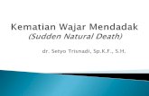 dr. Setyo Trisnadi, Sp.K.F., S.H....Definisi kematian mendadak Penyakit penyebab SIND Respirasil Kar iovaskulerl lanjutanl Susunan Saraf Pusat "IGURE 5.2 These cross-sections With