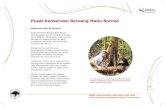 Pusat Konservasi Beruang Madu Borneo · Haiwan invertebrata Beruang madu memakan banyak jenis haiwan invertebrata ataupun haiwan tanpa tulang belakang seperti anai-anai, semut, lipan,