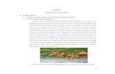 BAB II TINJAUAN PUSTAKA A. 1. Kajian tentang semut api ...repository.um-surabaya.ac.id/3958/3/BAB_II.pdf · Semut api merupakan hama utama pertanian dan rumah tangga, menghancurkan