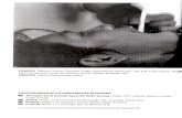 archive.ivaa-online.orgarchive.ivaa-online.org/files/uploads/texts/56-59.pdf · visualisasi tanpa metafor tentang pribahasa Minang, MenapikAirdi Dulang, Terpercik Muka Sendiri. ...