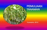 DASAR PEMULIAAN TANAMAN - Universitas Brawijaya · 2012. 2. 20. · Teknik dasar perbaikan sifat tanaman meliputi metode pemuliaan tanaman menyerbuk sendiri, ... Pembentukan populasi,