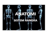 ANATOMI · • Rangka manusia tersusun dari sekitar 206 tulang • Digolongkan : 1. Rangka Aksial = rangka yang mendukung kepala, leher dan batang tubuh 2. Rangka Apendiculer= rangka