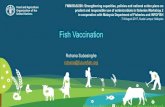 FMM/RAS/298: Strengthening capacities, policies and ......Fish Vaccination Rohana Subasinghe rohana@futurefish.org FMM/RAS/298: Strengthening capacities, policies and national action