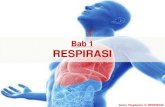Bab 1 RESPIRASI - TCER.MY · 2020. 9. 16. · peparu seperti emfisema. Sains Tingkatan 3: RESPIRASI 1.3 KEPENTINGAN SISTEM RESPIRASI YANG SIHAT (B) PENYAKIT SISTEM RESPIRASI Asma