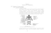 BAB 2 TINJAUAN TEORITIS 2.1 Tinjauan Teoritis Medis 2.1.1 ...eprints.umbjm.ac.id/700/4/BAB 2.pdf · Fraktur cruris merupakan suatu istilah untuk patah tulang tibia dan fibula yang