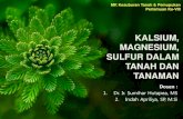 KALSIUM, MAGNESIUM, SULFUR DALAM TANAH DAN TANAMANagroteknologi.uma.ac.id/wp-content/uploads/2020/07/... · 2020. 7. 30. · Unsur Hara Kalsium (Ca) Fungsi Ca dalam tanaman : 1. Menjadi