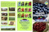 hako letak zeleni 2012 - H&H Fruit - Bugojno, BiHhhf.heko.ba/wp-content/uploads/2012/06/katalog_sadnog_materijala… · Title: hako letak zeleni 2012.cdr Author: Amir Created Date: