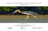 Asian Waterbird Census (AWC 2015) Malaysiamnswetland.weebly.com/uploads/3/1/8/0/31801977/awc...Report (Malaysia). Kuala Lumpur: Malaysian Nature Society (MNS) Contacts: Nur Atiqah