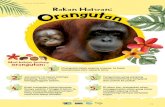 UNTUK PENDIDIK Rakan Haiwan · Rakan Haiwan: Mari belajar tentang orangutan: 1. Orangutan ialah sejenis mawas. Ia tidak mempunyai ekor seperti kera. 2. Jari-jemari di tapak kakinya