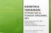 GENETIKA TANAMAN · 2018. 3. 14. · GENETIKA TANAMAN STRUKTUR & FUNGSI ORGANEL SEL Ratna Zulfarosda, S.P., M.P. Agroteknologi Fakultas Pertanian Universitas Merdeka Pasuruan Disusun