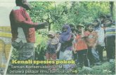 COnnecting REpositoriesV tumbuhan di ka- wasan tanah berkeluasan satu hektar menjadikan Taman Konservatori Uni- versiti Putra Malaysia (UPM), Serdang sebagai pusat pembelaj aran paling