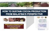 FROM MALAYSIA’S PERSPECTIVE PRODUCERS... · 2016. 7. 2. · 5. Encourage involvement of small medium industries entrepreneur in processing and production of cocoa products 6. Increase