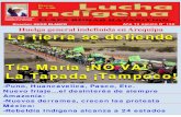 Tía María ¡NO VA! La Tapada ¡Tampoco! · 2019. 8. 10. · El Tambo, contra el proyecto minero Tía María de la empresa Southern, en Islay- Arequipa y el movimiento CONGA NO VA,
