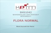 FLORA NORMAL · FLORA NORMAL RESPIRATORY TRACT ... pH diubah oleh gangguan hormon dan fisiologi. 31 12/15/2020. FLORA NORMAL GENITOURINARY TRACT 32 12/15/2020. 33 12/15/2020. Title: