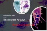 Ilmu Penyakit Parasiter - UB