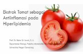 Ekstrak Tomat sebagai Antiinflamasi pada Hiperlipidemia