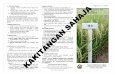 Jabatan Pertanian Sabah – Jabatan Pertanian Sabah