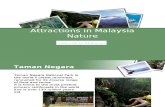 Malaysia Nature Attractions - Cuti-cuti Malaysia