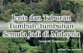Geo Ting 1: Jenis dan taburan tumbuhan di Malaysia